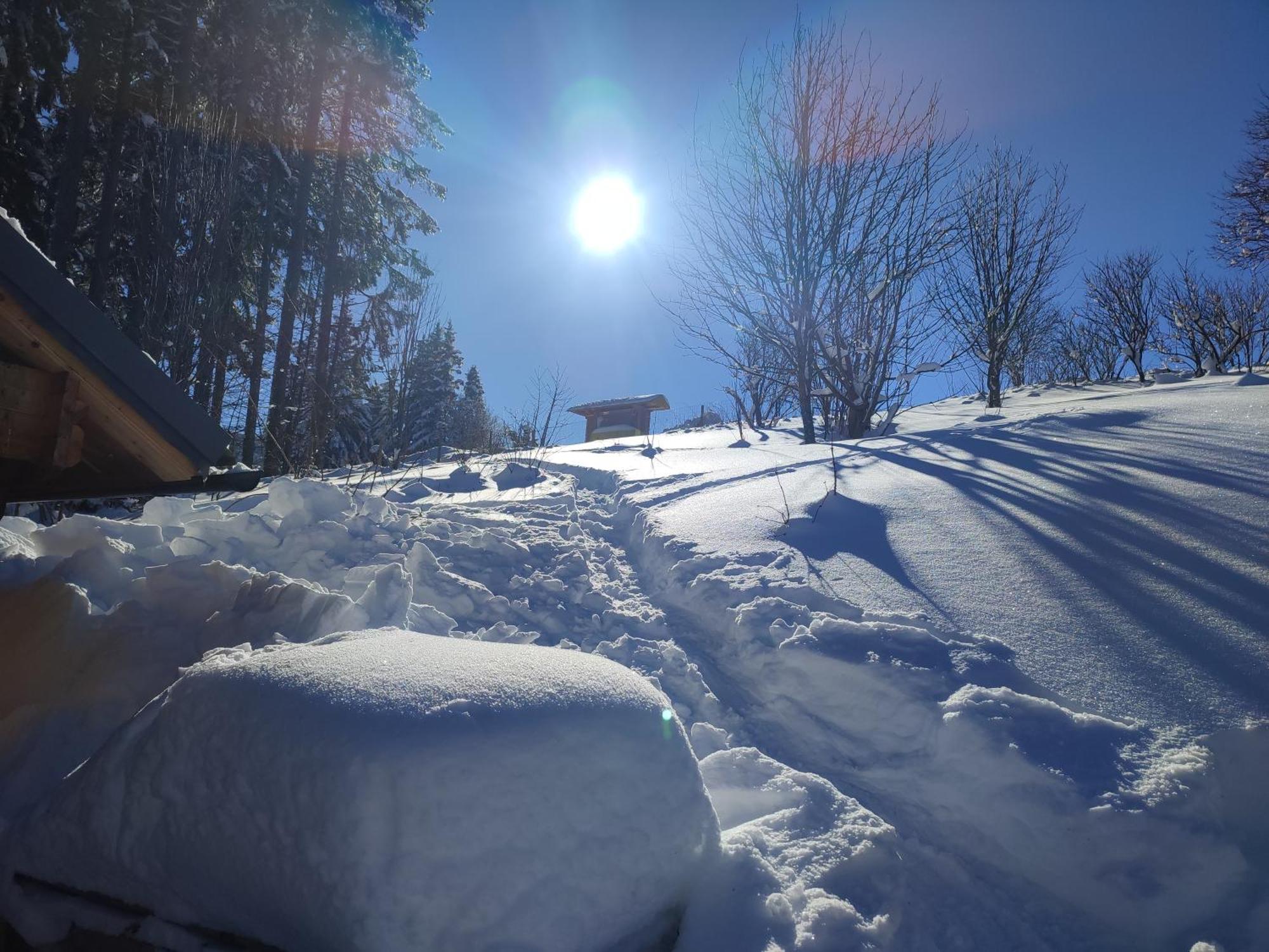 סנט סטפן Nature Living Koralm - Neue Chalets Auf Der Koralpe Im Schi- Und Wanderparadies מראה חיצוני תמונה